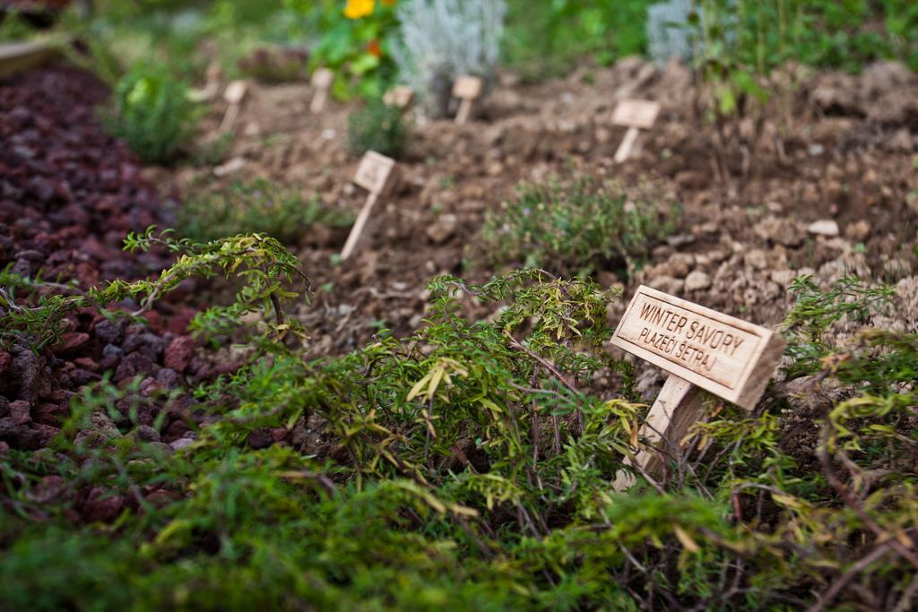 Herbal Glamping Resort Ljubno Exteriör bild